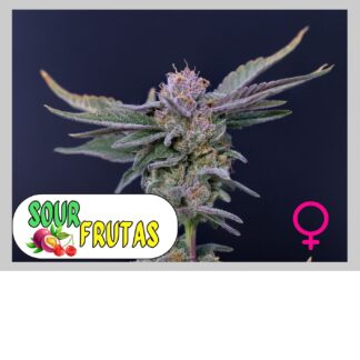 Sour Frutas